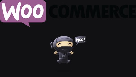 Czy warto mieć sklep na WooCommerce?