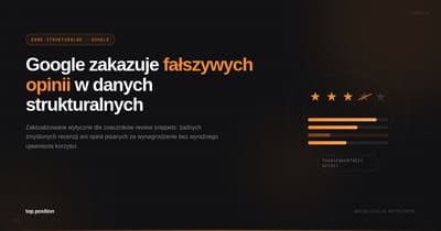 Agencja SEO i Google Ads Katowice | TopPosition — od 2003