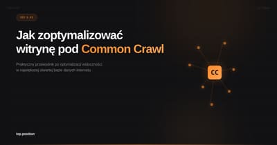 Agencja SEO i Google Ads Katowice | TopPosition — od 2003