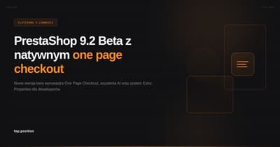 Agencja SEO i Google Ads Katowice | TopPosition — od 2003