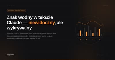 Agencja SEO i Google Ads Katowice | TopPosition — od 2003